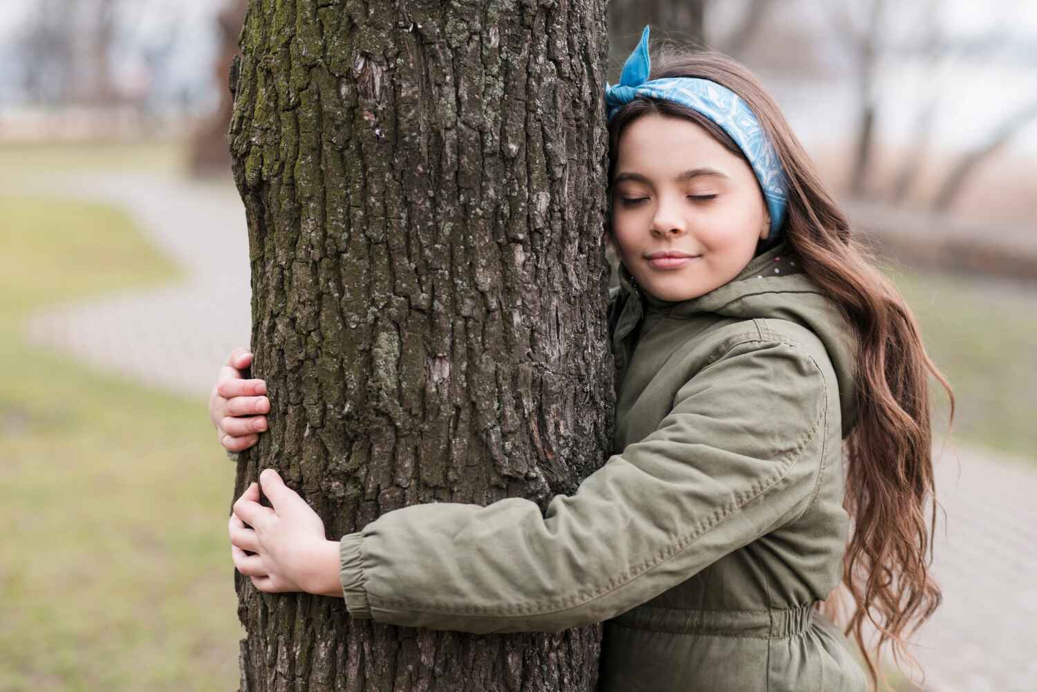 The Steps Involved in Our Tree Care Process in Milford Square, PA